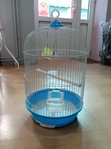 Kavez Ines 268 SX-12