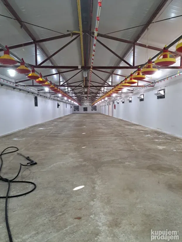 Farma za uzgoj pilića