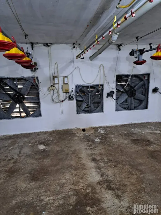 Farma za uzgoj pilića