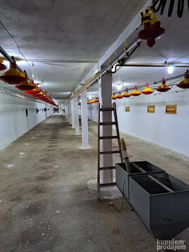 Farma za uzgoj pilića