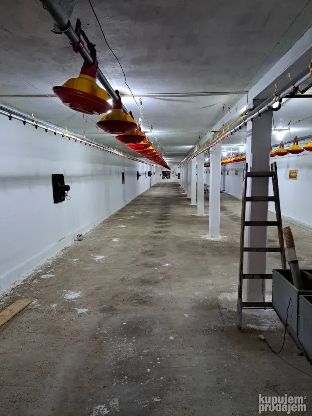 Farma za uzgoj pilića