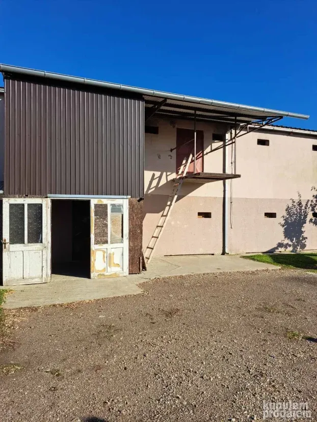 Farma za uzgoj pilića