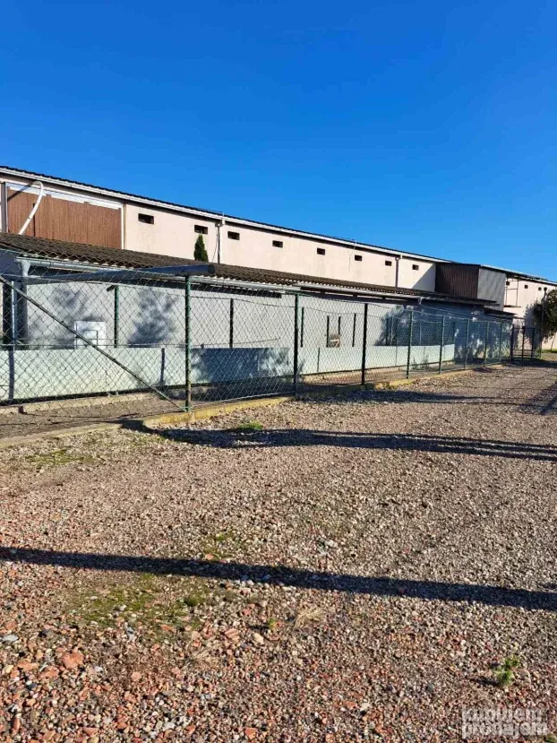 Farma za uzgoj pilića