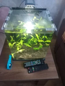 Akvarijum