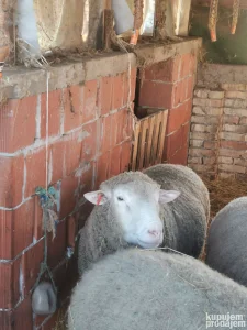 Ile de france ovan idf