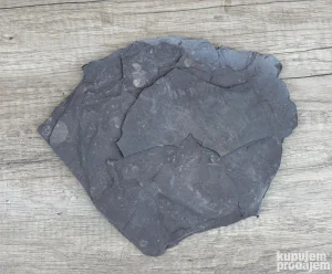 Ploča kamena sa Fosilima