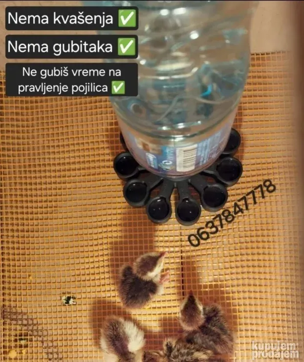 Pojilica za prepelice i sitne ptice