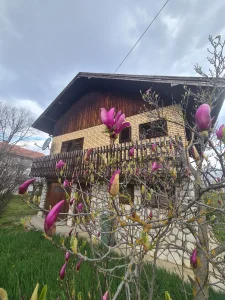 Dunjina ulica, Bocke, 4.0 četvorosobna, 140 m²