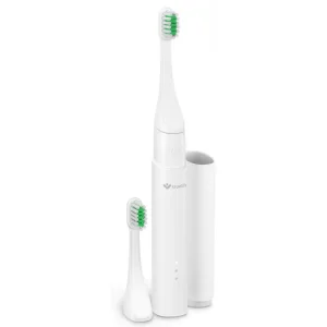 TRUELIFE SonicBrush T100 toothbrush