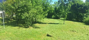 Košenje trave trimerom