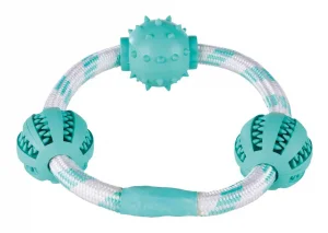 Denta Fun igračka za pse od kanapa sa loptom