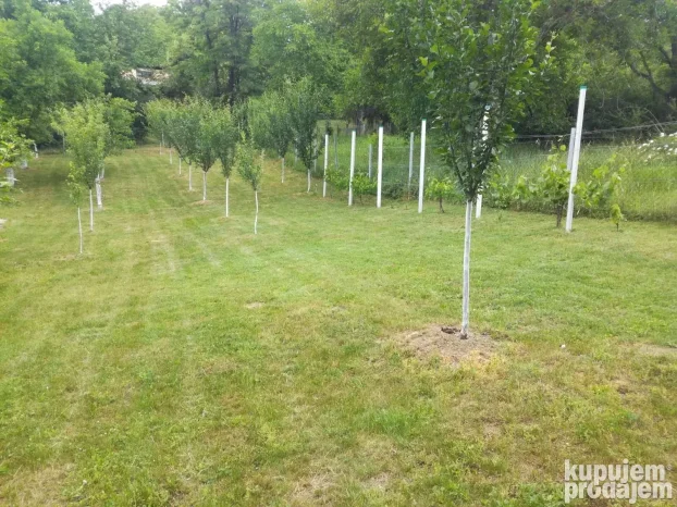 Fruška gora - Banstol, Inđija, Maradik, 2.0 dvosobna, 69 m²