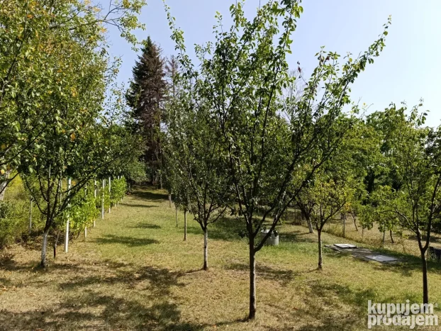Fruška gora - Banstol, Inđija, Maradik, 2.0 dvosobna, 69 m²