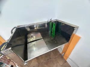 Prohrom kada za kupanje pasa.