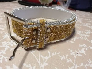 Zlatni kaiš sa šljokicama