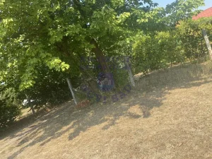 Sremski Karlovci, Fruška gora, 15 ar