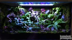 BIOAKTIVNI Terarijumi za Reptile