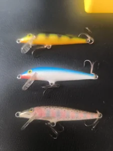 Rapale Floating 6 cm