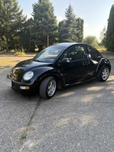 Volkswagen New Beetle