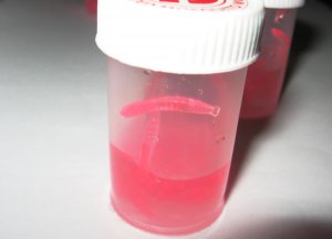 Larve komarca aromatizovane silikonske