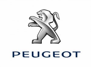 Peugeot 5008 (09-13) Poklopac retrovizora u prajmeru
