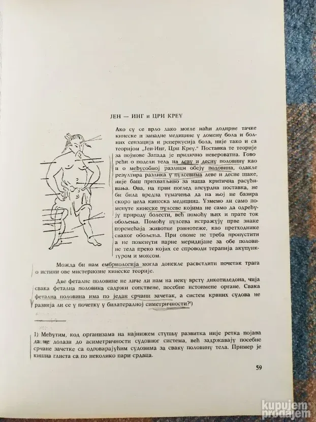 Kineska medicina - Akupunktura, Dr Milan Pavlovic