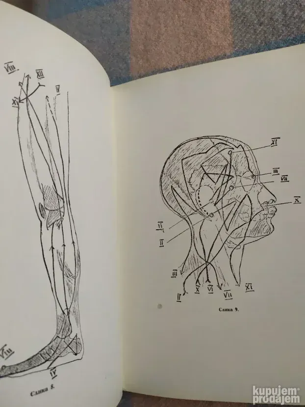Kineska medicina - Akupunktura, Dr Milan Pavlovic