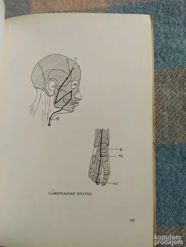 Kineska medicina - Akupunktura, Dr Milan Pavlovic