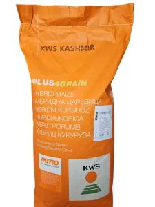 KWS KASHMIR 50 000 zrna Semenski Kukuruz