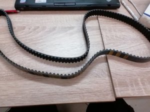 Remen za opela G1329