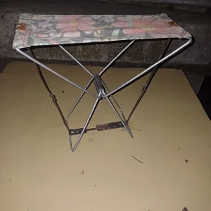 Ruska pecaroška stolica