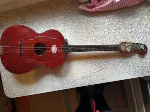 Retka majstorska tambura Žike Paunovića sa koferom