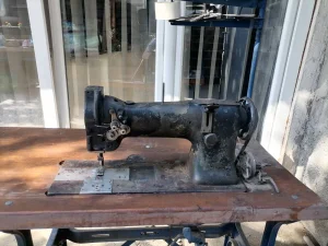 Endlerica i dvoiglovka