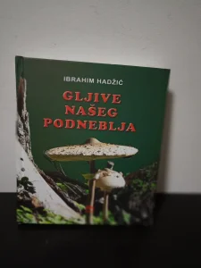 Gljive našeg podneblja - Ibrahim Hadžić