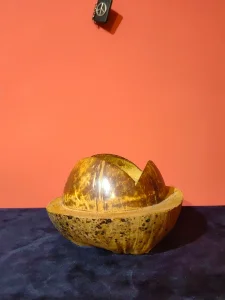 Kokosova Činija - Pravi Kokos