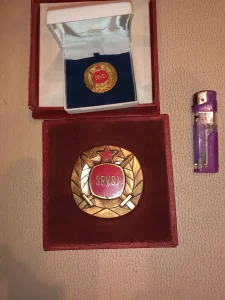 Plaketa i značka SRVSJ, Savez Rezervnih Vojnih Staresina Jug