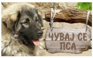 Tabla Čuvaj se psa-ŠARPLANINAC