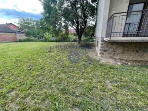 Kuća na odličnom placu u Futogu