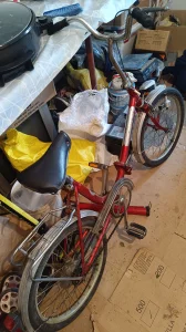 Poni bicikla rog ljubljana