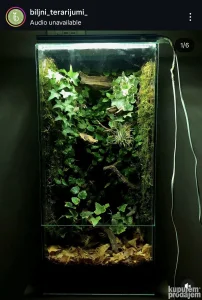 BioAktivni Terarijumi za Reptile