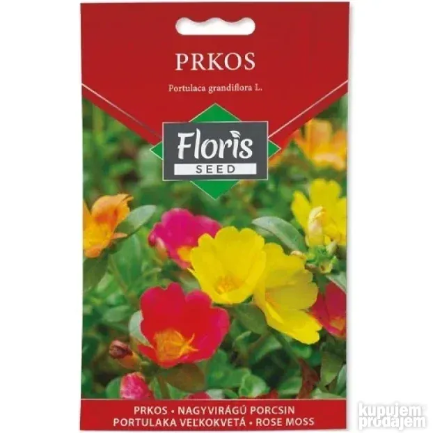 Cveće Prkos dupli seme 0.3g - 10kom. FLORIS