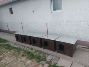 Kucuce za pse AKCIJA 10-15 %POPUST