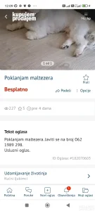 prevarantkinja poklanja mavodno psa a ko zna cije pas