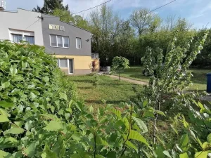 Apartman u Sokobanji