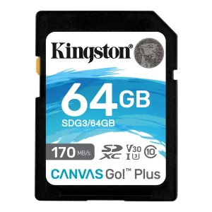 KINGSTON Memorijska kartica 64GB SDG3/64GB