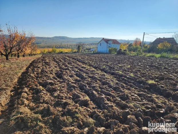 Boleč, 29.12 ar