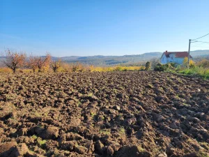 Boleč, 29.12 ar