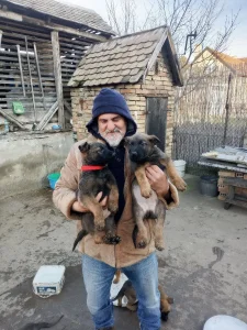 Kučići,štenci,psi