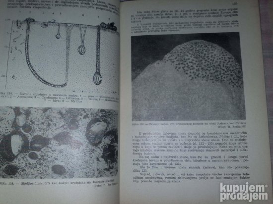 Osnovi Opste Geologije Egzodinamika-Pustinje,Lednici,Lagune,