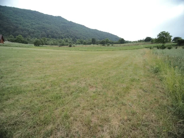 Zlatar, Kokin Brod, Nova Varoš, Radoinja, 53 ar